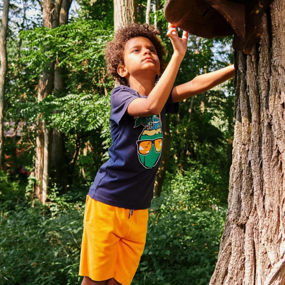 Camp Shorts