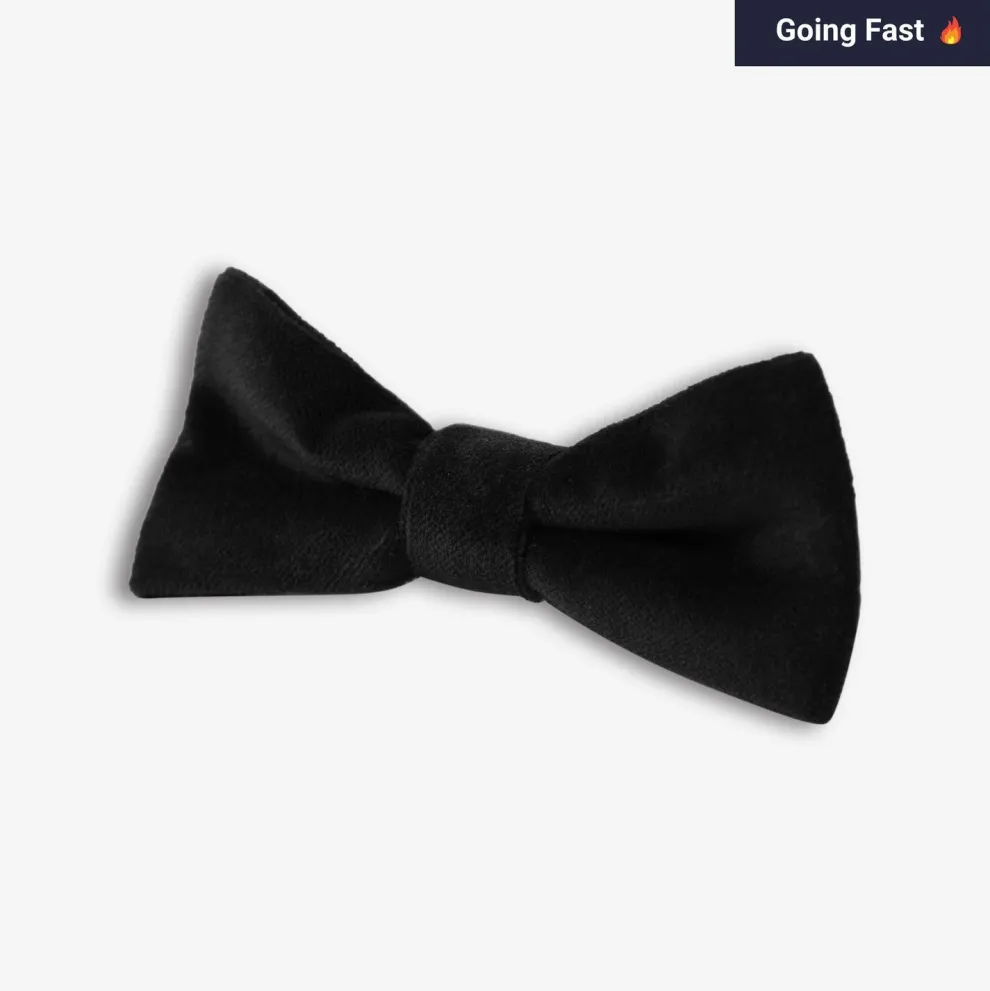 Bow Tie