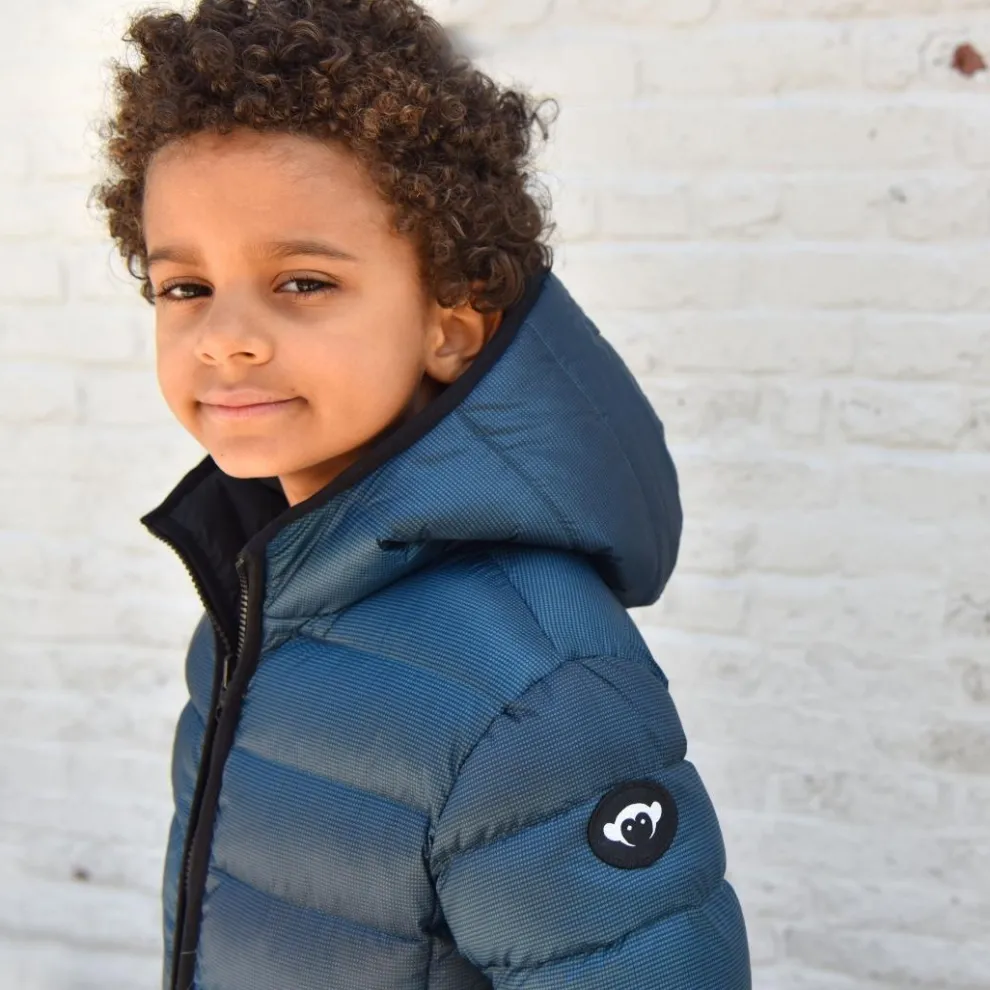 Reversible Puffer