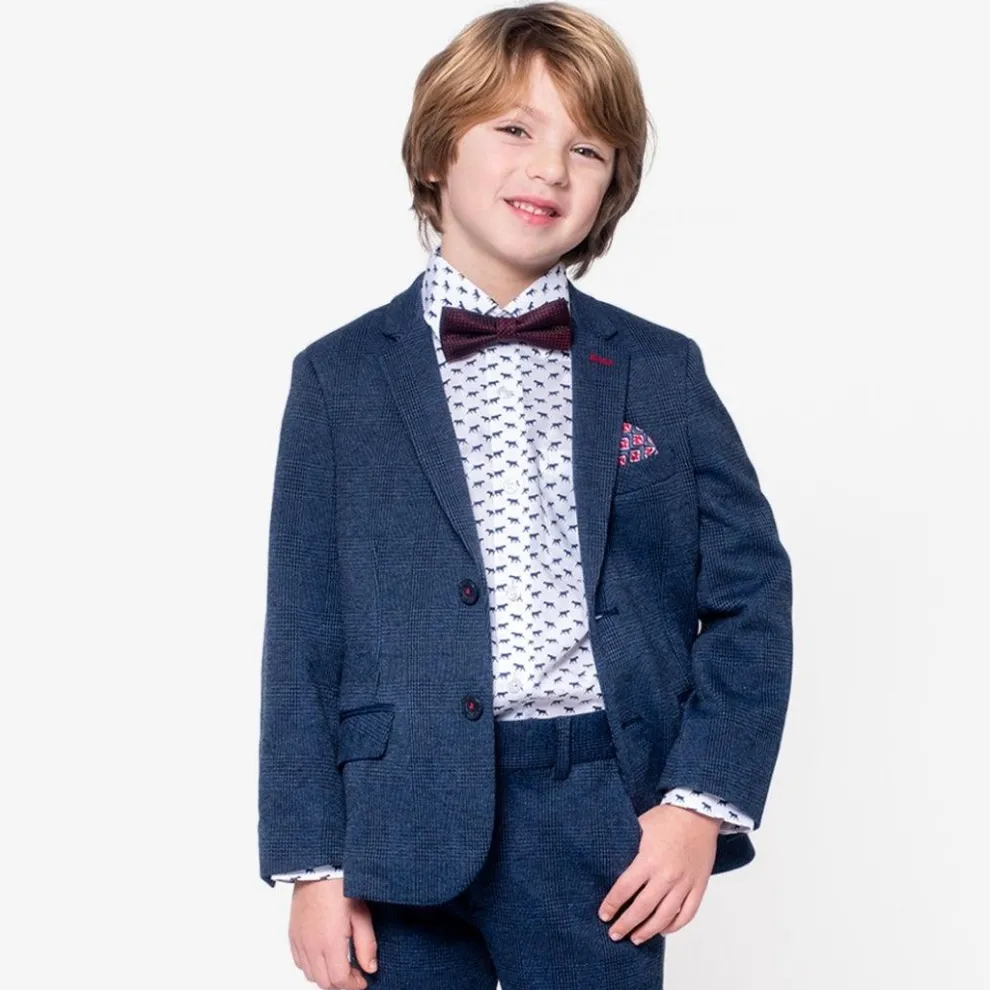 Silk Bow Tie